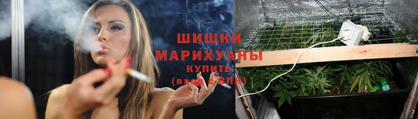 соль курить ск Богданович