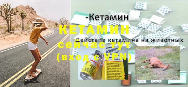 spice Богородск