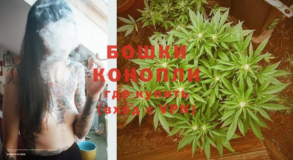 spice Богородск