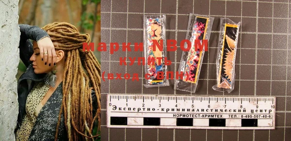 spice Богородск